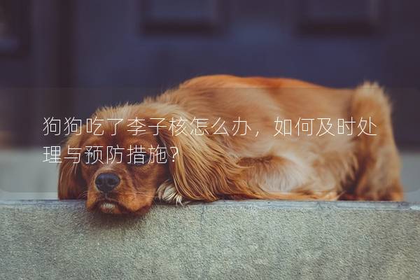 狗狗吃了李子核怎么办，如何及时处理与预防措施？