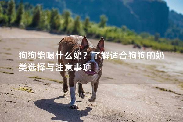 狗狗能喝什么奶？了解适合狗狗的奶类选择与注意事项