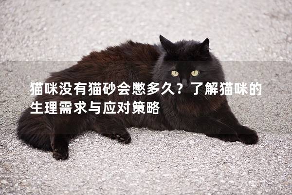 猫咪没有猫砂会憋多久？了解猫咪的生理需求与应对策略