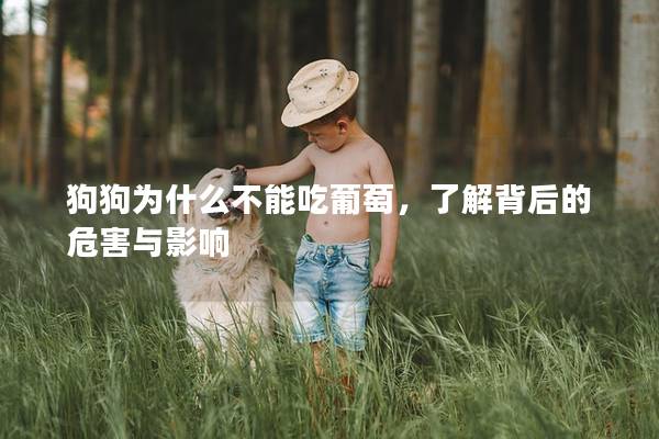 狗狗为什么不能吃葡萄，了解背后的危害与影响