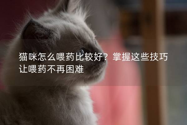 猫咪怎么喂药比较好？掌握这些技巧让喂药不再困难