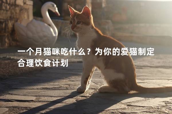 一个月猫咪吃什么？为你的爱猫制定合理饮食计划