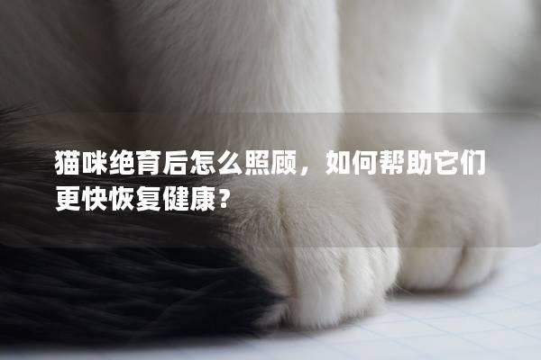 猫咪绝育后怎么照顾，如何帮助它们更快恢复健康？