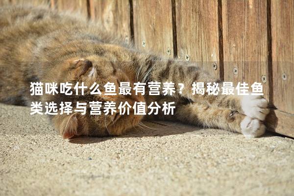 猫咪吃什么鱼最有营养？揭秘最佳鱼类选择与营养价值分析