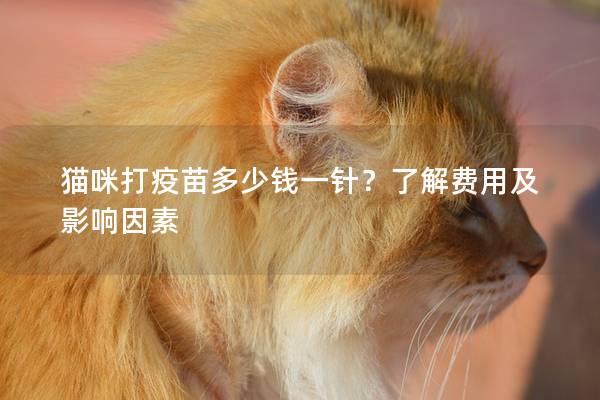 猫咪打疫苗多少钱一针？了解费用及影响因素