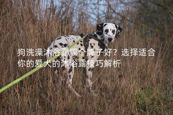 狗洗澡沐浴露哪个牌子好？选择适合你的爱犬的沐浴露技巧解析