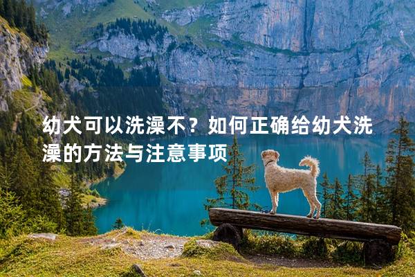 幼犬可以洗澡不？如何正确给幼犬洗澡的方法与注意事项