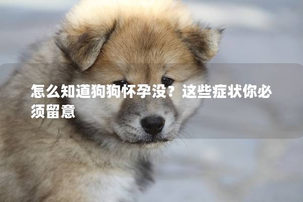 怎么知道狗狗怀孕没？这些症状你必须留意