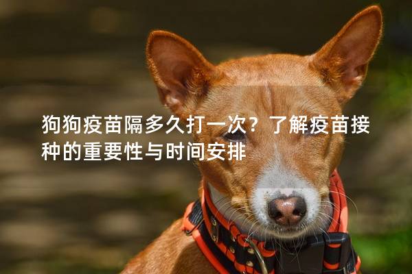 狗狗疫苗隔多久打一次？了解疫苗接种的重要性与时间安排