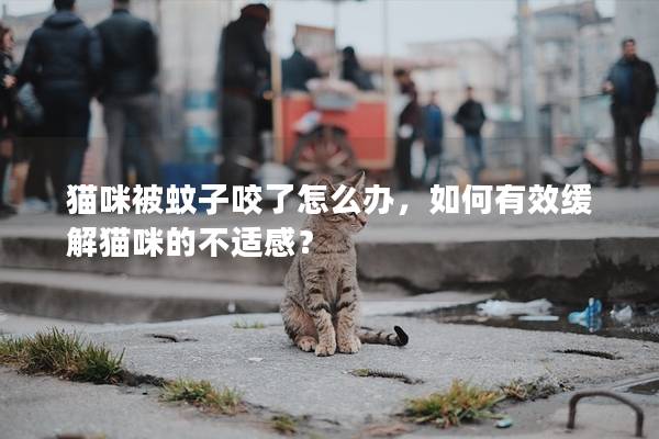 猫咪被蚊子咬了怎么办，如何有效缓解猫咪的不适感？