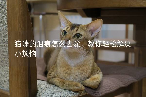 猫咪的泪痕怎么去除，教你轻松解决小烦恼