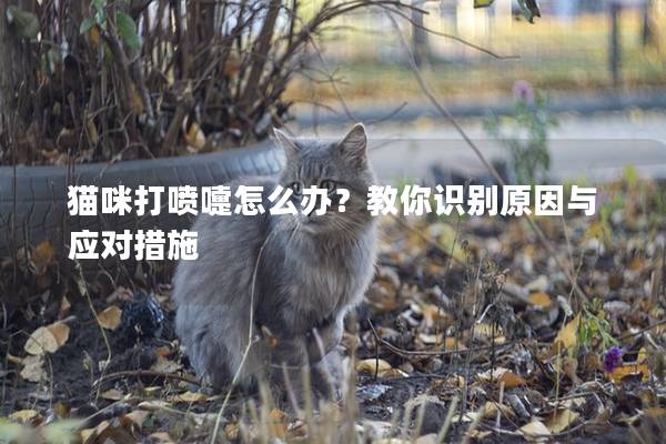 猫咪打喷嚏怎么办？教你识别原因与应对措施