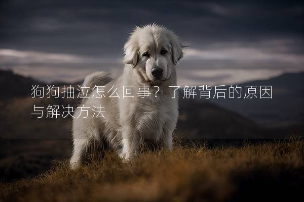 狗狗抽泣怎么回事？了解背后的原因与解决方法