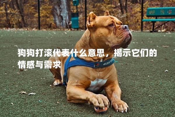 狗狗打滚代表什么意思，揭示它们的情感与需求