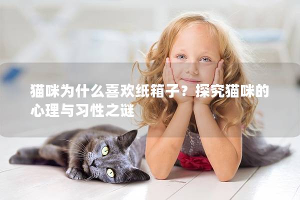 猫咪为什么喜欢纸箱子？探究猫咪的心理与习性之谜