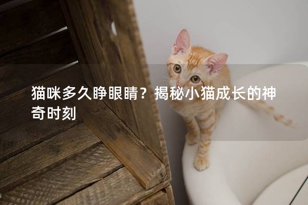 猫咪多久睁眼睛？揭秘小猫成长的神奇时刻