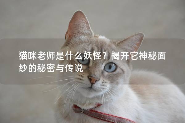 猫咪老师是什么妖怪？揭开它神秘面纱的秘密与传说