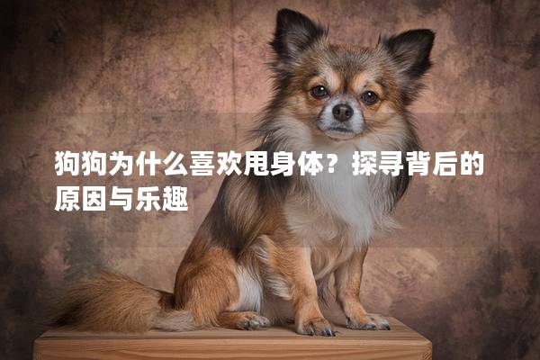 狗狗为什么喜欢甩身体？探寻背后的原因与乐趣