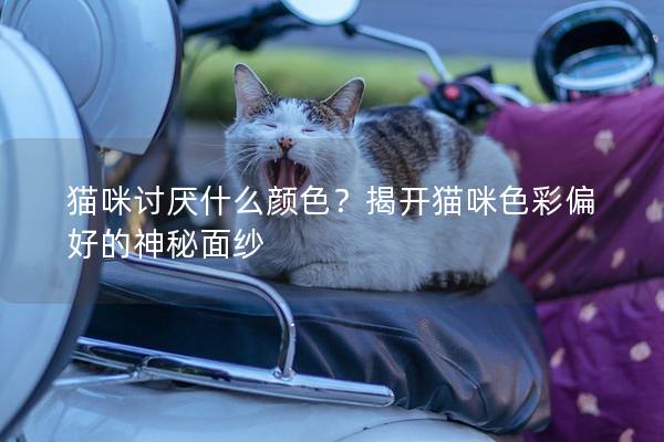 猫咪讨厌什么颜色？揭开猫咪色彩偏好的神秘面纱