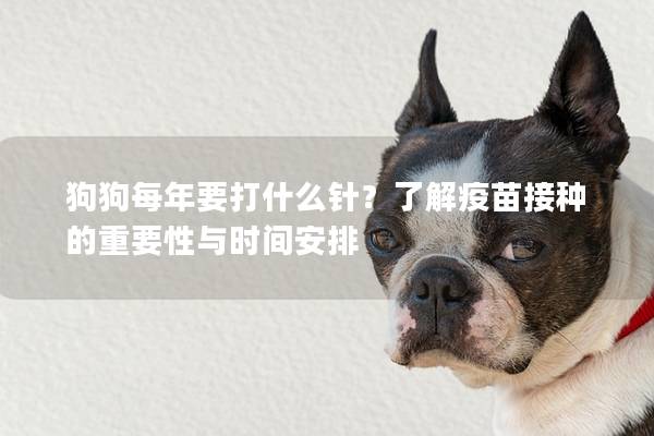 狗狗每年要打什么针？了解疫苗接种的重要性与时间安排