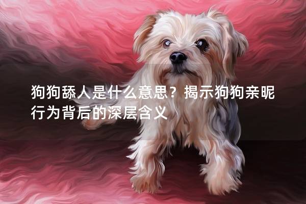 狗狗舔人是什么意思？揭示狗狗亲昵行为背后的深层含义