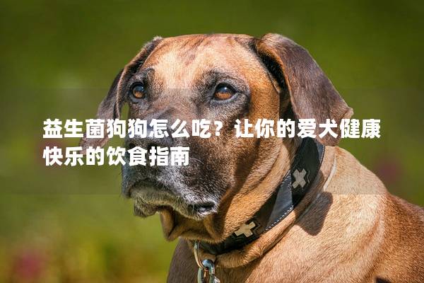 益生菌狗狗怎么吃？让你的爱犬健康快乐的饮食指南