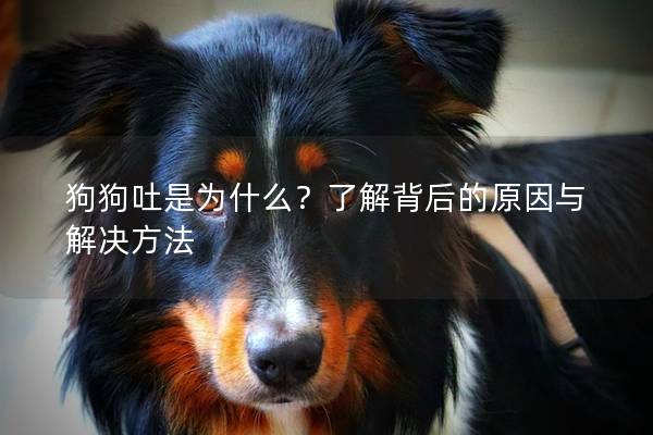 狗狗吐是为什么？了解背后的原因与解决方法