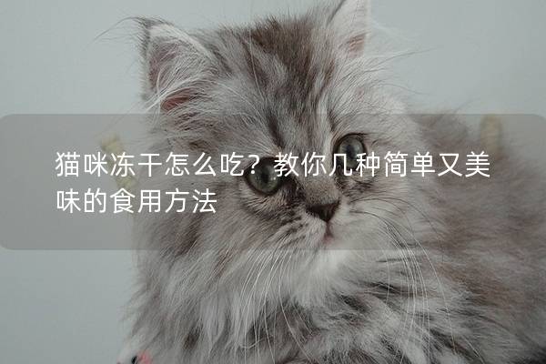 猫咪冻干怎么吃？教你几种简单又美味的食用方法