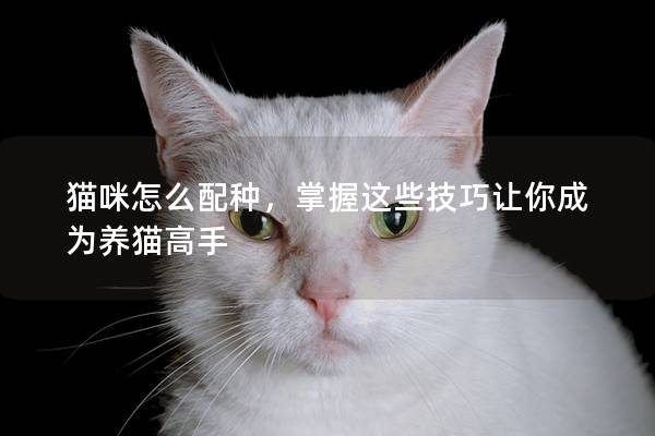 猫咪怎么配种，掌握这些技巧让你成为养猫高手