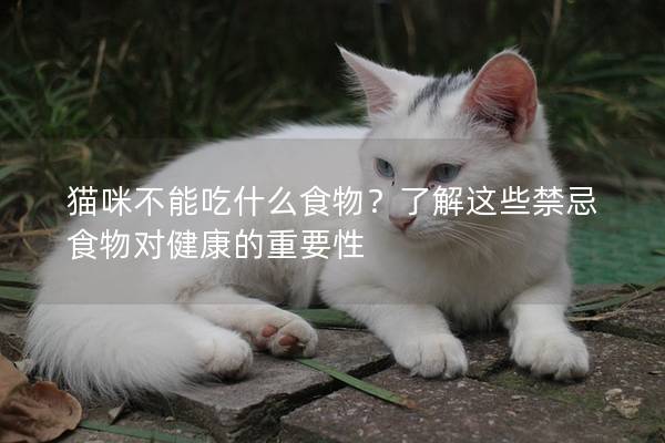 猫咪不能吃什么食物？了解这些禁忌食物对健康的重要性