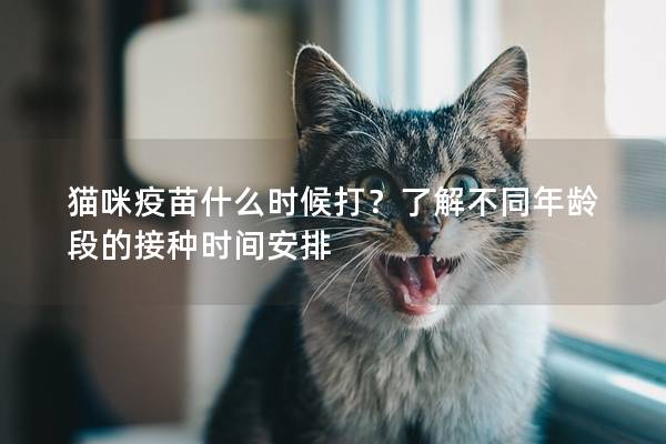 猫咪疫苗什么时候打？了解不同年龄段的接种时间安排