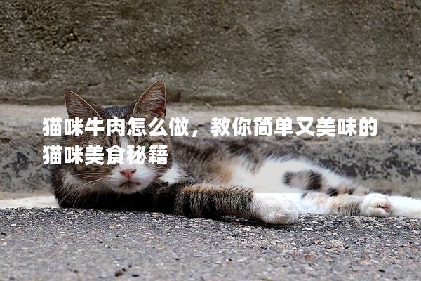 猫咪牛肉怎么做，教你简单又美味的猫咪美食秘籍