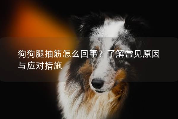 狗狗腿抽筋怎么回事？了解常见原因与应对措施