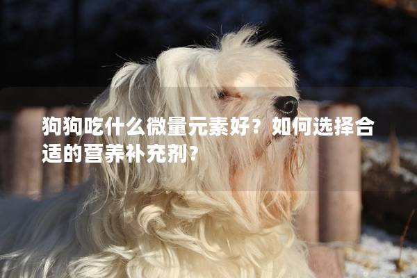 狗狗吃什么微量元素好？如何选择合适的营养补充剂？