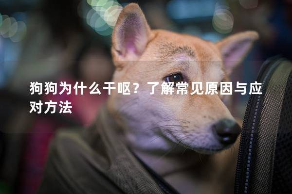 狗狗为什么干呕？了解常见原因与应对方法