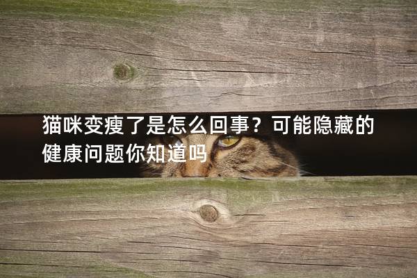 猫咪变瘦了是怎么回事？可能隐藏的健康问题你知道吗