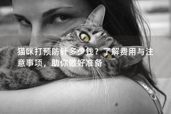 猫咪打预防针多少钱？了解费用与注意事项，助你做好准备