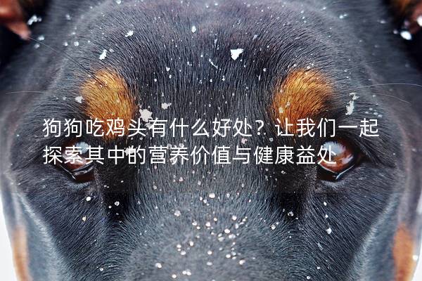 狗狗吃鸡头有什么好处？让我们一起探索其中的营养价值与健康益处