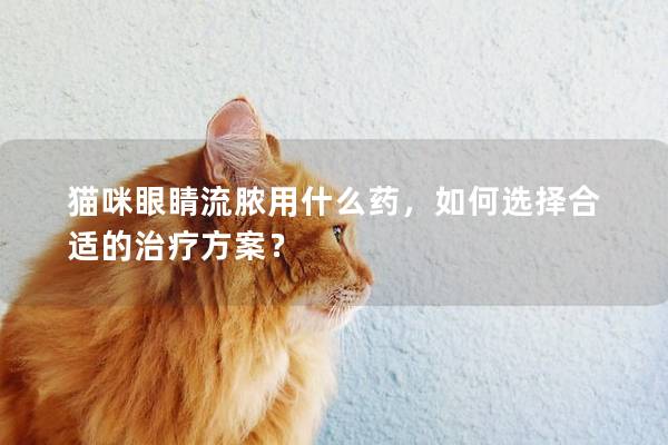 猫咪眼睛流脓用什么药，如何选择合适的治疗方案？