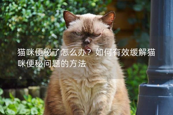 猫咪便秘了怎么办？如何有效缓解猫咪便秘问题的方法