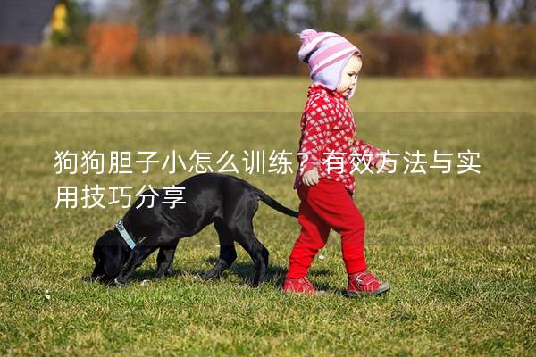 狗狗胆子小怎么训练？有效方法与实用技巧分享