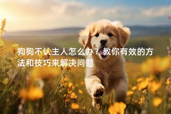 狗狗不认主人怎么办？教你有效的方法和技巧来解决问题