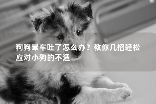 狗狗晕车吐了怎么办？教你几招轻松应对小狗的不适