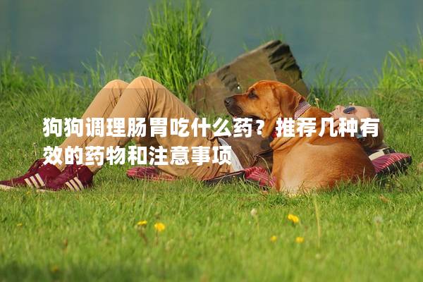 狗狗调理肠胃吃什么药？推荐几种有效的药物和注意事项