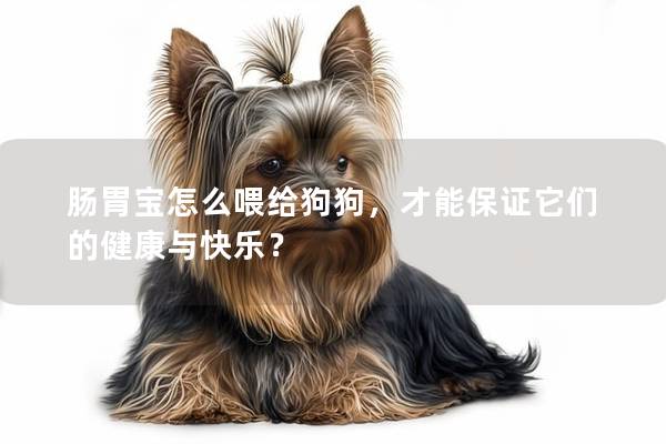 肠胃宝怎么喂给狗狗，才能保证它们的健康与快乐？