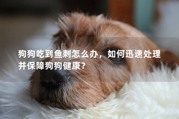 狗狗吃到鱼刺怎么办，如何迅速处理并保障狗狗健康？