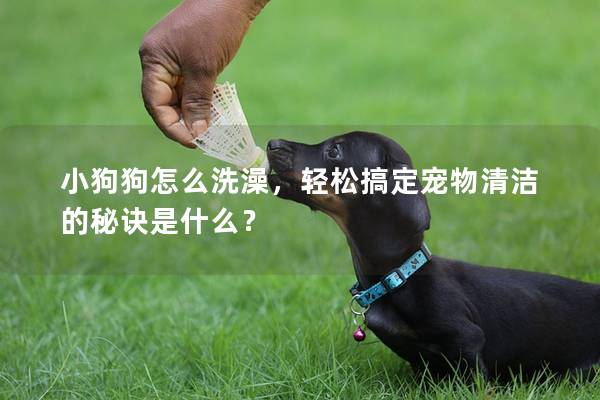 小狗狗怎么洗澡，轻松搞定宠物清洁的秘诀是什么？