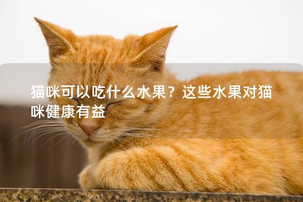 猫咪可以吃什么水果？这些水果对猫咪健康有益