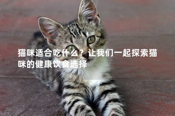 猫咪适合吃什么？让我们一起探索猫咪的健康饮食选择