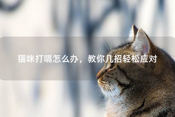 猫咪打嗝怎么办，教你几招轻松应对